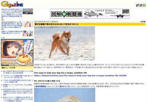 犬を飼っている人なら誰でも、自分の愛犬にはいつまでも健康で長生きしてほしいと願うものです。そこで、イギリスのノッティンガムトレント大学で犬の健康と福祉について教えているジャクリーン・ ボイド氏が、「犬を健やかに長生きさせるために飼い主が注意すべきポイント」を5つに絞って解説しました。