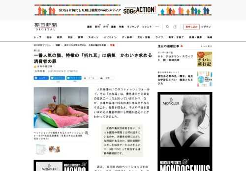 　人気猫種No.1のスコティッシュフォールド。その「折れ耳」は、優性遺伝する病気の症状の一つだと知っていますか？　なぜ、犬種や猫種に特有の遺伝性疾患が存在するのか。背景を探ると、子犬や子猫を買い求める…