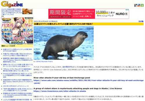 アメリカ・アラスカ州のアンカレッジ市で、カナダカワウソが人や犬を襲う事件が発生し、州当局がカナダカワウソの捜索を行っていると報じられています。科学系ニュースサイト・Live Scienceによると、2021年9月にはアンカレッジ市内でカワウソの襲撃事件が3件発生し、うち1件では子どもが負傷しているとのことです。