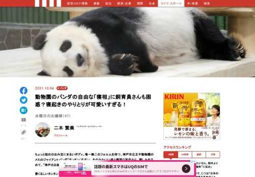 「現代ビジネス」は、第一線で活躍するビジネスパーソン、マネジメント層に向けて、プロフェッショナルの分析に基づいた記事を届ける新創刊メディアです。政治、経済からライフスタイルまで、ネットの特性を最大限にいかした新しい時代のジャーナリズムの可能性を追及します。