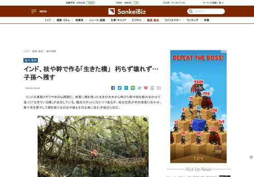 インド北東部メガラヤ州の山間部に、地面に根を張ったままの大木から伸びた幹や枝を絡み合わせて造った「生きている橋」が点在している。観光スポットになりつつあるが、地…