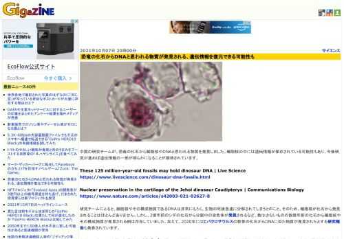 中国の研究チームが、恐竜の化石から細胞核やDNAと思われる物質を発見しました。細胞核の中には遺伝情報が保存されている可能性もあり、今後研究が進めば遺伝情報の一部が明らかになることが期待されています。