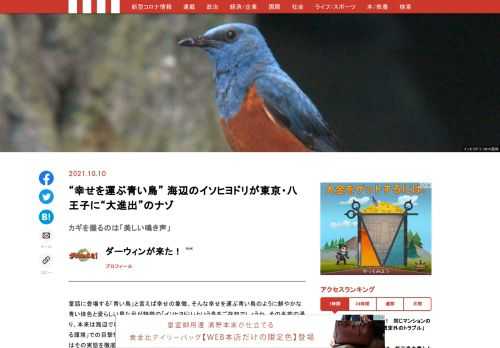 「現代ビジネス」は、第一線で活躍するビジネスパーソン、マネジメント層に向けて、プロフェッショナルの分析に基づいた記事を届ける新創刊メディアです。政治、経済からライフスタイルまで、ネットの特性を最大限にいかした新しい時代のジャーナリズムの可能性を追及します。