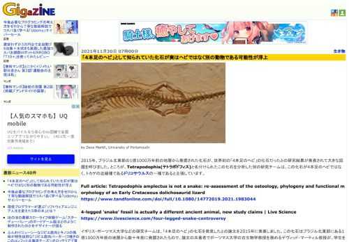 by Dave Martill, University of Portsmouth