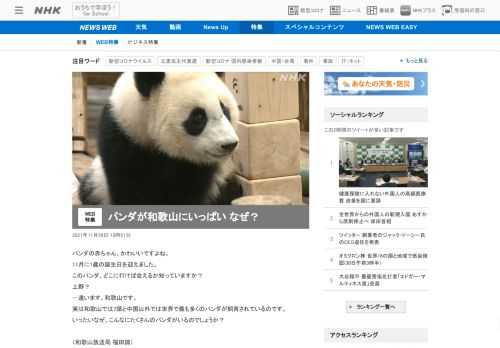 【NHK】パンダの赤ちゃん。和歌山のアドベンチャーワールドではこれまで17頭が生まれています。いったいなぜそんなにいっぱいパンダが…