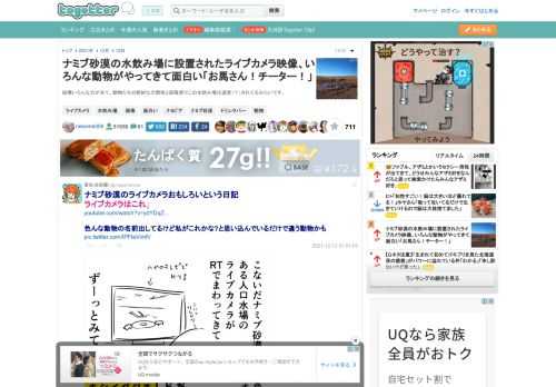 結構いろんな方が来て、動物たちの絶妙な力関係と距離感でこの水飲み場は運営（？）されてるみたいです。