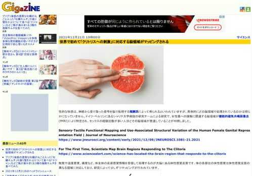 性的な快感は、神経から受け取った信号を脳で処理する報酬系によって得られるといわれていますが、具体的にどの脳領域で処理されているのかは明らかになっていません。ドイツ・ベルリンにあるシャリテ大学病院の研究チームによる研究で、女性器への接触に関連する脳領域が機能的磁気共鳴画像法(fMRI)により特定され、セックスの経験回数が多い人ほどその脳領域が発達していることが判明しました。