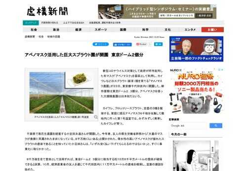 　新型コロナウイルス対策として政府が昨年配布した布マスク「アベノマスク」を苗床として利用し、カイワレなどのスプラウト（新芽）類を育てる「マメノマスク農園」が２３日、東京都千代田区内に開園した。耕作面積は東京ドーム２．３個分。アベノマスクを使った大規模農園は日本初だという。.advert { font-size: 10px; color: #dedede; }...