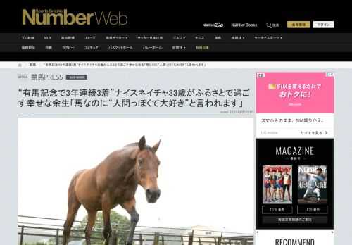 「有馬記念の3年連続3着だったり、何度負けてもへこたれずに挑戦を続ける姿勢だったり、歳を重ねるごとに寂しがり屋になったり、馬なのにどこか庶民的で“人間くささ”を感じさせるエピソードが多いんです。たくさんの人がナイスネイチャを自分と重ね合わせて