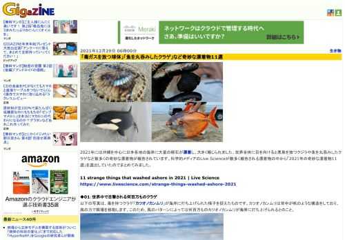 2021年には沖縄を中心に日本各地の海岸に大量の軽石が漂着し、大きく報じられました。世界全体に目を向けると悪臭を放つクジラや魚を丸呑みしたクラゲなど数多くの奇妙な漂着物が報告されています。科学的メディアのLive Scienceが数多く報告される漂着物の中から「2021年の奇妙な漂着物11選」を選出していたのでまとめてみました。