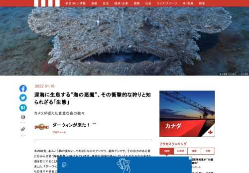 「現代ビジネス」は、第一線で活躍するビジネスパーソン、マネジメント層に向けて、プロフェッショナルの分析に基づいた記事を届ける新創刊メディアです。政治、経済からライフスタイルまで、ネットの特性を最大限にいかした新しい時代のジャーナリズムの可能性を追及します。