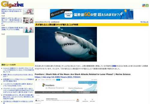 月の満ち欠けは潮の満ち引きを起こすことが広く知られており、人間の睡眠時間に関係している可能性も指摘されるなど地球上の多くの出来事への関連がささやかれています。そんな中、「月が満ちると人間を襲うサメが増える」という衝撃の研究結果が報告されました。