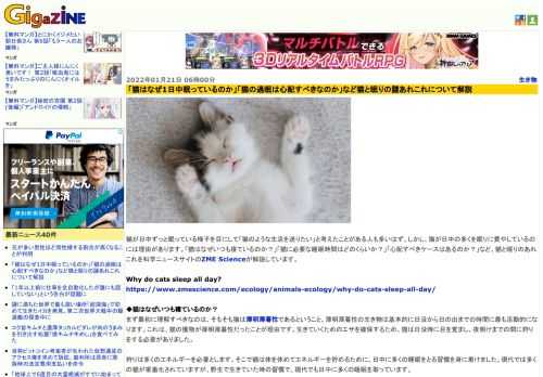 猫が日中ずっと眠っている様子を目にして「猫のような生活を送りたい」と考えたことがある人も多いはず。しかし、猫が日中の多くを眠りに費やしているのには理由があります。「猫はなぜいつも寝ているのか？」「猫に必要な睡眠時間はどのくらいか？」「心配すべきケースはあるのか？」など、猫と眠りのあれこれを科学ニュースサイトのZME Scienceが解説しています。