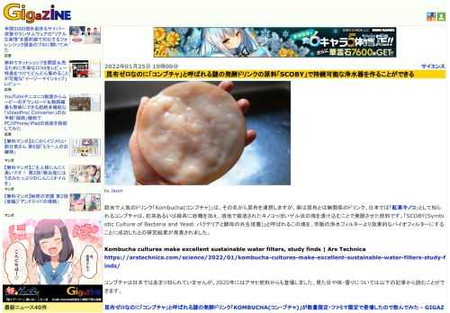 欧米で人気のドリンク「Kombucha(コンブチャ)」は、その名から昆布を連想しますが、実は昆布とは無関係のドリンク。日本では「紅茶キノコ」として知られるコンブチャは、紅茶あるいは緑茶に砂糖を加え、培地で栽培されたキノコっぽいゲル状の塊を漬け込むことで発酵させた飲料です。「SCOBY(Symbiotic Culture of Bacteria and Yeast：バクテリアと酵母の共生培養)」と呼ばれるこの塊を、市販の浄水フィルターより効果的なバイオフィルターにすることに成功したとの研究結果が発表されました。