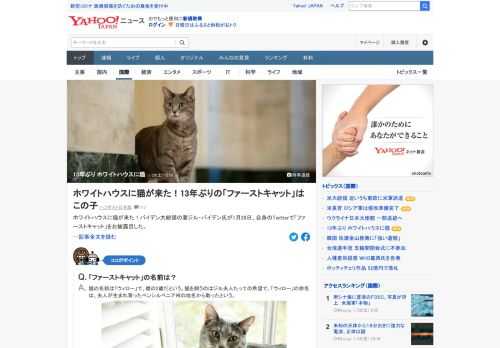 バイデン大統領の妻ジル・バイデン氏が、自身のTwitterで「ファーストキャット」をお披露目した。最後にホワイトハウスで暮らした猫は、ジョージ・W・ブッシュ氏が飼っていた猫で、2009年1月に他界した。