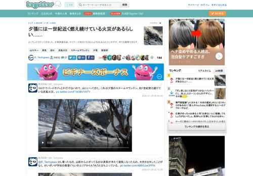 ということで行ってきました。夕張神通坑道。マイナーで地元でもほとんど忘れ去られていますが、今でも観察できます。