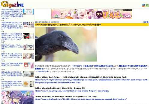 カラスは非常に賢い鳥であることが知られており、バラバラのパーツを組み立てて便利な道具を作り出せることや、霊長類より早く成体と同等の認知能力を獲得するといったことが知られています。そんなカラスの賢さを利用した「タバコの吸い殻や小さなゴミをカラスに集めさせるプロジェクト」が、スウェーデンのセーデルテリエという都市でスタートする予定です。