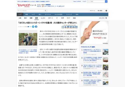 　原木シイタケのほだ木をハンマーでたたくと収量が倍増する――。大分県農林水産研究指導センターは、経験的に知られていたシイタケの増収方法の条件を明らかにした。キノコ（子実体）の発生約2週間前に、ほだ木