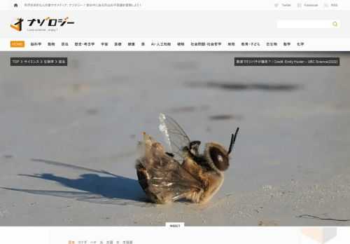 カナダUBCの調査でオスの働き蜂は熱波に遭うと、生殖器が強制的に射精し、爆死することがわかりました。 生殖器は普段、体内に隠されており、暴発によって腹部から飛び出すという。悲惨すぎる…