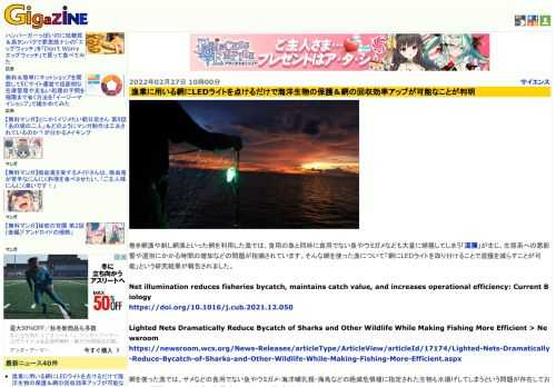 巻き網漁や刺し網漁といった網を利用した漁では、食用の魚と同時に食用でない魚やウミガメなども大量に捕獲してしまう「混獲」が生じ、生態系への悪影響や選別にかかる時間の増加などの問題が指摘されています。そんな網を使った漁について「網にLEDライトを取り付けることで混獲を減らすことが可能」という研究結果が報告されました。