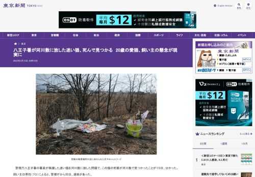 警視庁八王子署の署員が保護した迷い猫を河川敷に放した問題で、この猫の死骸が河川敷で見つかったことが１５日、分かった。飼い主の男性（７０...