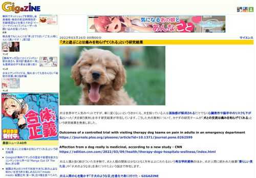 犬は世界中で人気のペットですが、単に愛くるしいというほかにも、犬を飼っている人は孤独感が解消されるだけでなく心臓発作や脳卒中のリスクも下がるといった「犬を飼う実利」を示す研究結果が存在しています。こうした犬の実利について、カナダの研究チームが「犬との交流は痛みを和らげてくれる」という研究結果を発表しました。