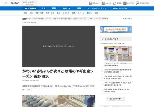 【NHK】長野県佐久市の牧場でヤギの出産がピークを迎え、かわいらしいヤギの赤ちゃんが次々と生まれています。