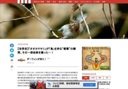 「現代ビジネス」は、第一線で活躍するビジネスパーソン、マネジメント層に向けて、プロフェッショナルの分析に基づいた記事を届ける新創刊メディアです。政治、経済からライフスタイルまで、ネットの特性を最大限にいかした新しい時代のジャーナリズムの可能性を追及します。