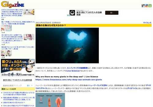 一般的なサイズよりも14倍も長いイカや、ミニバンサイズの海綿動物など、深海に生息する生物はしばしば巨大です。なぜ深海に生息する生物は巨大なのかについて、科学系ニュースメディアのLive Scienceがまとめています。