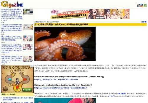 タコは知能が高く、体色を変えたり手足を再生したりしながら外敵から身を守る生存戦略を持っています。しかし、タコのメスは卵を産んだ後に食事をやめて衰弱し、卵が孵化するころには死んでしまうことでも知られています。なぜ自己防衛意識の高いタコのメスが卵を産んだ後に死んでしまうのかを、シカゴ大学・ワシントン大学・イリノイ大学シカゴ校の研究チームが解明しました。