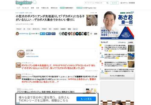 ふわふわデッカイかわいい最高