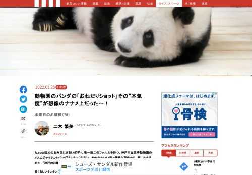 「現代ビジネス」は、第一線で活躍するビジネスパーソン、マネジメント層に向けて、プロフェッショナルの分析に基づいた記事を届ける新創刊メディアです。政治、経済からライフスタイルまで、ネットの特性を最大限にいかした新しい時代のジャーナリズムの可能性を追及します。