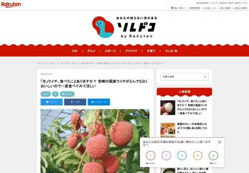 ライチ（茘枝）は「生」と「冷凍」があり、生ライチは格別の味わいですが日本では希少な果物です。宮崎県では国産ライチの栽培がスタート。毎年6月～8月頃に出回ります。今回は国産ライチ栽培の先がけ、ミキファームの農場長に話を伺いました。ミキファームのライチはふるさと納税返礼品にもなっていますよ。