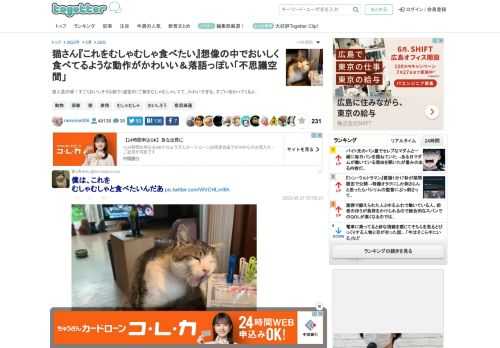 達人芸の域！すごくおいしそうな顔で（虚空の）ご飯をむしゃむしゃしてて、かわいすぎる。すごい伝わってくるよ…