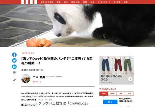 「現代ビジネス」は、第一線で活躍するビジネスパーソン、マネジメント層に向けて、プロフェッショナルの分析に基づいた記事を届ける新創刊メディアです。政治、経済からライフスタイルまで、ネットの特性を最大限にいかした新しい時代のジャーナリズムの可能性を追及します。