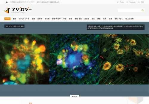 米NYUはアルツハイマー病の真の原因がアミロイドベータの蓄積ではなく「毒の花」と呼ばれる異常な構造だったと発表。認知能力を蝕む、美しくも恐ろしい「毒の花」の正体とはいったい何なのでしょうか？