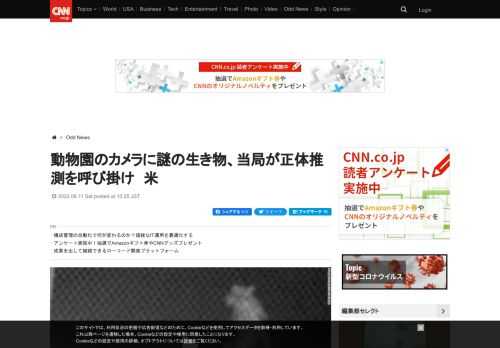 米テキサス州アマリロの動物園のカメラに謎の生き物の姿が捉えられ、当局が市民に正体を推測するよう呼び掛けている。